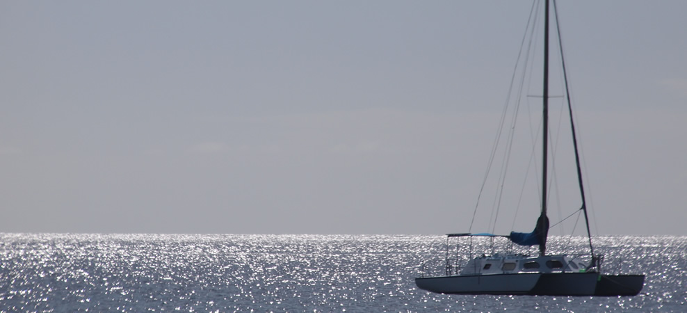 catamaran sails available